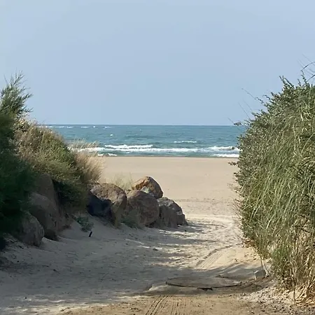 Superbe En Bord De *