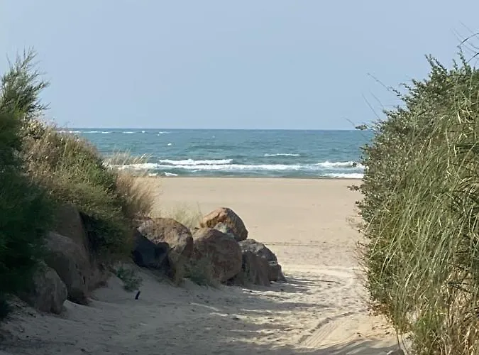 Superbe En Bord De *